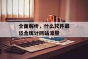 全面解析，什么软件最适合统计网站流量