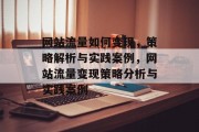 网站流量如何变现,策略解析与实践案例,网站流量变现策略分析与实践案例 网站流量如何变现,策略解析与实践案例,网站流量变现策略分析与实践案例