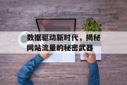 数据驱动新时代,揭秘网站流量的秘密武器 数据驱动新时代,揭秘网站流量的秘密武器