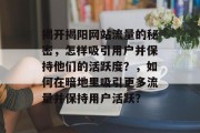 揭开揭阳网站流量的秘密,怎样吸引用户并保持他们的活跃度?,如何在暗地里吸引更多流量并保持用户活跃? 揭开揭阳网站流量的秘密,怎样吸引用户并保持他们的活跃度?,如何在暗地里吸引更多流量并保持用户活跃?