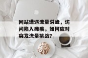 网站遭遇流量洪峰，访问陷入瘫痪，如何应对突发流量挑战？