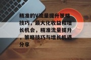 精准的V流量提升策略技巧,最大化收益和增长机会,精准流量提升,策略技巧与增长机遇分享