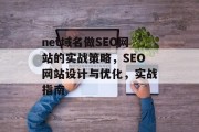 net域名做SEO网站的实战策略，SEO网站设计与优化，实战指南
