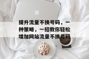 提升流量不换号码,一种策略,一招教你轻松增加网站流量不换号码 提升流量不换号码,一种策略,一招教你轻松增加网站流量不换号码