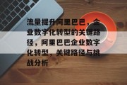 流量提升阿里巴巴，企业数字化转型的关键路径，阿里巴巴企业数字化转型，关键路径与挑战分析