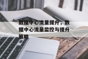数据中心流量提升，数据中心流量监控与提升策略