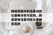 网络营销中的流量词优化策略分析与实践，网络营销流量词优化策略及实践