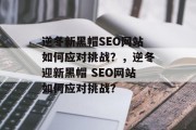 逆冬新黑帽SEO网站如何应对挑战？，逆冬迎新黑帽 SEO网站如何应对挑战？