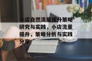 小店自然流量提升策略研究与实践,小店流量提升,策略分析与实践分享