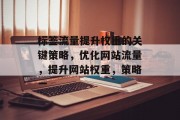 标签流量提升权重的关键策略，优化网站流量，提升网站权重，策略一