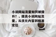 小说网站流量如何被提升?,提高小说网站流量,从优化内容到精准定位 小说网站流量如何被提升?,提高小说网站流量,从优化内容到精准定位