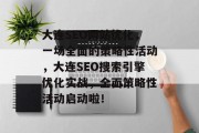大连SEO网站优化,一场全面的策略性活动,大连SEO搜索引擎优化实战,全面策略性活动启动啦!