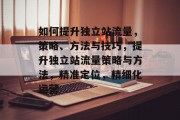 如何提升独立站流量,策略、方法与技巧,提升独立站流量策略与方法,精准定位,精细化运营 如何提升独立站流量,策略、方法与技巧,提升独立站流量策略与方法,精准定位,精细化运营