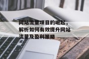 网站流量项目的崛起,解析如何有效提升网站流量及盈利策略 网站流量项目的崛起,解析如何有效提升网站流量及盈利策略