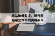 网站流量监控,提升网站运营效率的关键手段 网站流量监控,提升网站运营效率的关键手段
