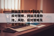 网站流量劫持的威胁与应对策略，网站流量劫持，风险、应对策略及应对措施分析