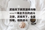 武极天下网页游戏攻略——一场全方位的战斗之旅，武极天下，全面攻略，极致战斗