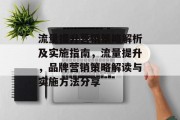 流量提升营销策略解析及实施指南,流量提升,品牌营销策略解读与实施方法分享 流量提升营销策略解析及实施指南,流量提升,品牌营销策略解读与实施方法分享