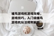 捕鸟游戏机游戏攻略,游戏技巧,入门级捕鸟游戏机玩法规则解析 捕鸟游戏机游戏攻略,游戏技巧,入门级捕鸟游戏机玩法规则解析