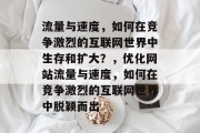 流量与速度，如何在竞争激烈的互联网世界中生存和扩大？，优化网站流量与速度，如何在竞争激烈的互联网世界中脱颖而出