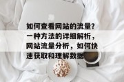 如何查看网站的流量?一种方法的详细解析,网站流量分析,如何快速获取和理解数据 如何查看网站的流量?一种方法的详细解析,网站流量分析,如何快速获取和理解数据