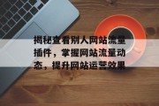 揭秘查看别人网站流量插件,掌握网站流量动态,提升网站运营效果 揭秘查看别人网站流量插件,掌握网站流量动态,提升网站运营效果
