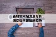 新加坡网站流量分析,洞察数字营销新趋势 新加坡网站流量分析,洞察数字营销新趋势