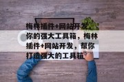 梅林插件+网站开发,你的强大工具箱,梅林插件+网站开发,帮你打造强大的工具箱 梅林插件+网站开发,你的强大工具箱,梅林插件+网站开发,帮你打造强大的工具箱