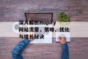 深入解析Hopify网站流量,策略、优化与增长秘诀 深入解析Hopify网站流量,策略、优化与增长秘诀