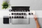 C网站SEO优化策略，提升网站排名，助力企业品牌传播