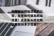 东莞增加网站流量的公司,东莞如何提高网站流量?企业能从优化网站抓取到多少流量? 东莞增加网站流量的公司,东莞如何提高网站流量?企业能从优化网站抓取到多少流量?