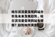 哈尔滨流量变现网站分析及未来发展趋势，哈尔滨流量变现网站有哪些？趋势如何演变？