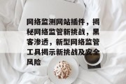 网络监测网站插件,揭秘网络监管新挑战,黑客渗透,新型网络监管工具揭示新挑战及安全风险 网络监测网站插件,揭秘网络监管新挑战,黑客渗透,新型网络监管工具揭示新挑战及安全风险