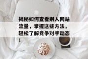 揭秘如何查看别人网站流量,掌握这些方法,轻松了解竞争对手动态! 揭秘如何查看别人网站流量,掌握这些方法,轻松了解竞争对手动态!