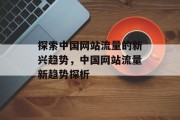探索中国网站流量的新兴趋势，中国网站流量新趋势探析
