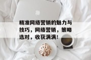 精准网络营销的魅力与技巧，网络营销，策略选对，收获满满！