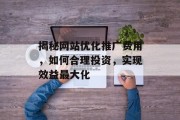 揭秘网站优化推广费用,如何合理投资,实现效益最大化 揭秘网站优化推广费用,如何合理投资,实现效益最大化