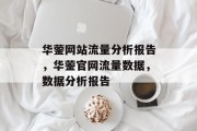 华蓥网站流量分析报告，华蓥官网流量数据，数据分析报告