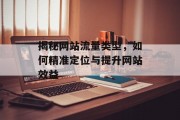 揭秘网站流量类型,如何精准定位与提升网站效益 揭秘网站流量类型,如何精准定位与提升网站效益