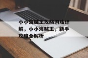 小小海贼王攻略游戏详解,小小海贼王,新手攻略全解析 小小海贼王攻略游戏详解,小小海贼王,新手攻略全解析
