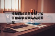 揭秘网站流量奥秘,如何精准掌握网站访问数据 揭秘网站流量奥秘,如何精准掌握网站访问数据