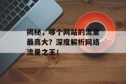 揭秘，哪个网站的流量最高大？深度解析网络流量之王！
