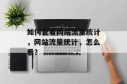 如何查看网站流量统计,网站流量统计,怎么看? 如何查看网站流量统计,网站流量统计,怎么看?