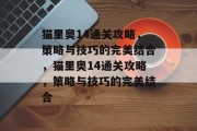 猫里奥14通关攻略,策略与技巧的完美结合,猫里奥14通关攻略,策略与技巧的完美结合 猫里奥14通关攻略,策略与技巧的完美结合,猫里奥14通关攻略,策略与技巧的完美结合