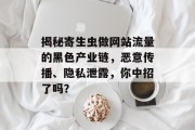 揭秘寄生虫做网站流量的黑色产业链,恶意传播、隐私泄露,你中招了吗? 揭秘寄生虫做网站流量的黑色产业链,恶意传播、隐私泄露,你中招了吗?