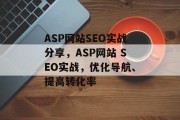ASP网站SEO实战分享，ASP网站 SEO实战，优化导航、提高转化率