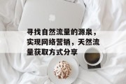 寻找自然流量的源泉,实现网络营销,天然流量获取方式分享 寻找自然流量的源泉,实现网络营销,天然流量获取方式分享