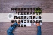 网站流量数据的重要性,一个全面的洞察分析,网站流量,理解、分析和提升关键绩效指标的关键要素 网站流量数据的重要性,一个全面的洞察分析,网站流量,理解、分析和提升关键绩效指标的关键要素