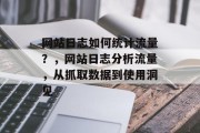 网站日志如何统计流量？，网站日志分析流量，从抓取数据到使用洞见