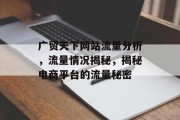 广贸天下网站流量分析,流量情况揭秘,揭秘电商平台的流量秘密 广贸天下网站流量分析,流量情况揭秘,揭秘电商平台的流量秘密
